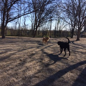 Dog Park at Towers Park